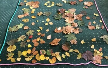 Projekty, zajęcia edukacyjne, innowacja Mądrzy Rodzice &bdquo;Jedyneczki&rdquo; 69