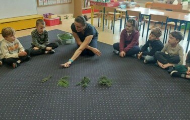 Projekty, zajęcia edukacyjne, innowacja Mądrzy Rodzice &bdquo;Jedyneczki&rdquo; 95