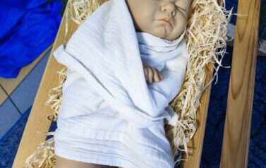 29fe5232-41da-4de5-907d-bc92f14b89d4