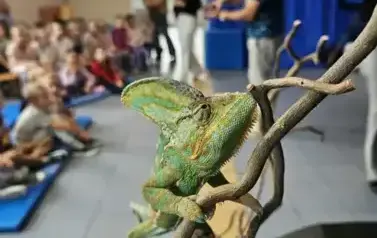 8811b8c9-1db7-499a-a5fb-41bc8c9b803f